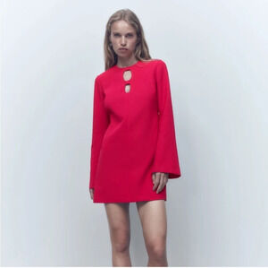 NWT Zara Fuchsia cutout dress Small